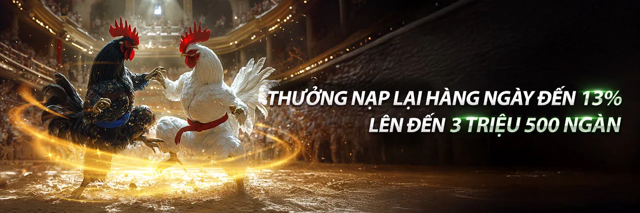 Đá gà trực tuyến kịch tính tại fly88v